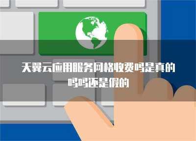 應用服務網格 性價比與安全性的全面解析